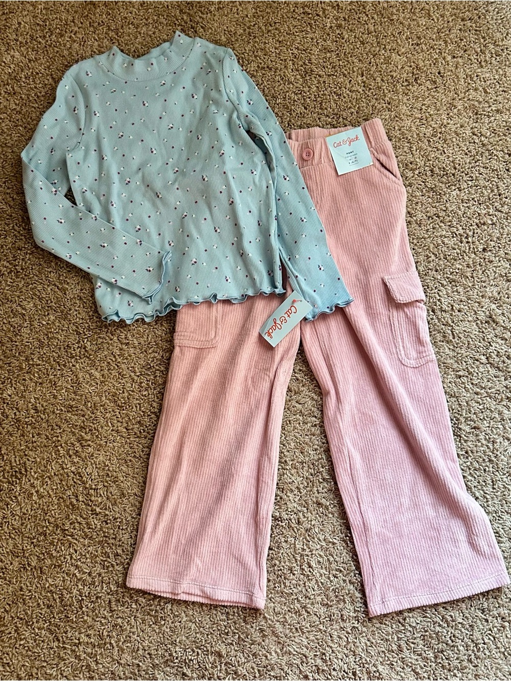 NWT ✨Cat & Jack Light Blue Floral Long-Sleeve Top with Pink Corduroy Pants